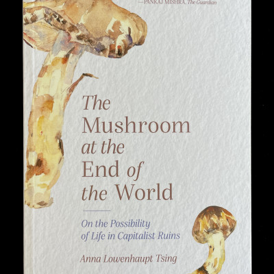 The Mushroom at the End of the World item image