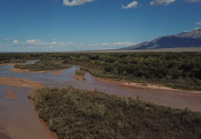 Species in Peril Along the Rio Grande: Contemporary Artists Respond exhibition image