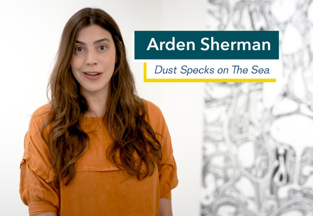 Curator Talk with Arden Sherman on Dust Specks on the Sea exhibition image